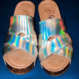 Holographic Wedges